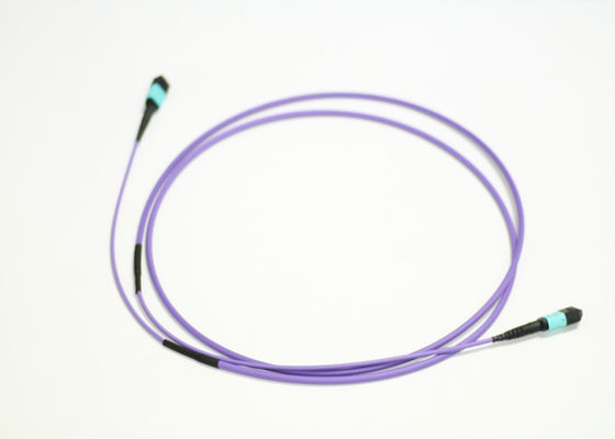LSZH MTP OFNR 10 Foot Optical Cable 12 Cores Multimode OM3 Aqua